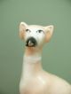 19thc Staffordshire Figure Of A Greyhound In Sitting Pose Figurines photo 3