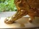 Ormalu 24kt Gold/bronze Winged Griffin/dragon/gargoyle Mascot/hood Ornament Metalware photo 2