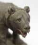 Carved Black Forest Bear Inkwell - Swiss/german Arts Crafts Mission Adirondack Carved Figures photo 2