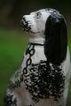 Pair Of 19th C.  Large Staffordshire Black & White Seated Hearth Dogs Figurines photo 9