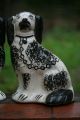 Pair Of 19th C.  Large Staffordshire Black & White Seated Hearth Dogs Figurines photo 3