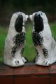 Pair Of 19th C.  Large Staffordshire Black & White Seated Hearth Dogs Figurines photo 8
