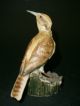 A Kaiser Porcelain Bird By W.  Gawantka Figurines photo 1