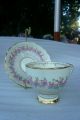 Vintage Plant Tuscan China Tea Cup And Saucer Registered Cups & Saucers photo 1