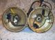 Vintage Made In France Pair Lamp Brass Metal Porcelain Flowers Wire Vine Lamps photo 3