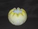 Victorian Shell & Sea Weed Rose Bowl Vase Vases photo 1