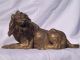 Magnificent French Gilt Bronze Lion Circa 1860 Metalware photo 1