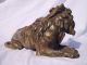 Magnificent French Gilt Bronze Lion Circa 1860 Metalware photo 3