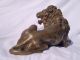Magnificent French Gilt Bronze Lion Circa 1860 Metalware photo 4