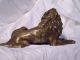 Magnificent French Gilt Bronze Lion Circa 1860 Metalware photo 6