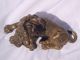 Magnificent French Gilt Bronze Lion Circa 1860 Metalware photo 8
