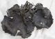 Arts And Crafts Period Bronze Oak Leaf And Vine Tray Exceptional And Rare Other photo 1