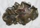 Arts And Crafts Period Bronze Oak Leaf And Vine Tray Exceptional And Rare Other photo 2