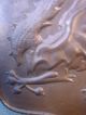 Vintage Winged Griffin/dragon Copper Shield Crest Metalware photo 7