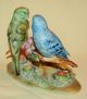 Vintage Japan Porcelain Ceramic Pottery Lovely Pair Parakeets Bird Figurine Figurines photo 4