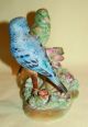 Vintage Japan Porcelain Ceramic Pottery Lovely Pair Parakeets Bird Figurine Figurines photo 8