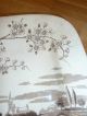 Antique Yosemite T&r Boote Large Transferware Platter Aesthetic England 1880 ' S Platters & Trays photo 6