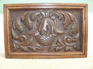 19thc Black Forest Oak Panel Carving With Acorn photo