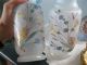Pair Of Antique Hand Painted Bristol Glass Vases Vases photo 1