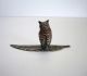 Antique Fritz Bermann Hand Painted Bronze Standing Owl On Leaf Metalware photo 2