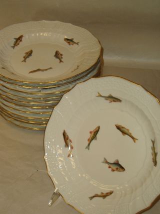 Antique Set Of Twelve Signed Meissen Fish Plates photo