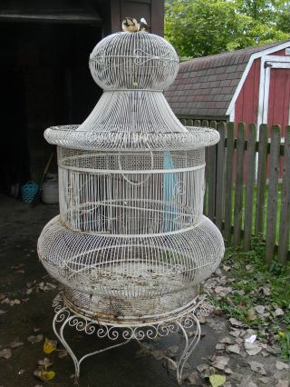 Antique Victorian Iron Bird Cage Over 5 Ft Tall photo