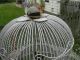 Antique Victorian Iron Bird Cage Over 5 Ft Tall Metalware photo 2