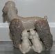 Unusual Lladro Porcelain Poodle Figurine W Suckling Puppies Nr Figurines photo 2