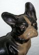 Awesome Estate Cast Iron Hubley? Bulldog Boston Terrier Dog Door Stop Unique Metalware photo 1