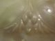 Antique Large Torchiere Large Opaleciante Lamp Shade Lamps photo 2