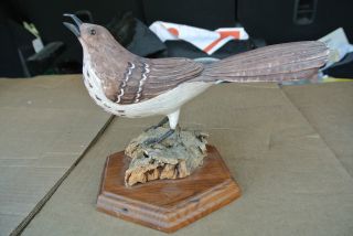 Vintage Carved Wood Wooden Brown Thrasher Bird Figurine Decoy photo