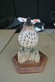 Vintage Carved Wood Wooden Brown Thrasher Bird Figurine Decoy Carved Figures photo 1
