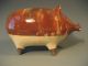 Very Fine Rare Scottish Scotland Pottery Glazed Piggy Pig Bank Ca.  19th C. Figurines photo 1