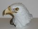 American Eagle Fine Porcelain Bust Figurines photo 3