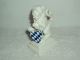 Porcelain Statue Figurine Of Lion Blue & White Shield Nymphenburg Germany W Box Figurines photo 1