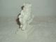 Porcelain Statue Figurine Of Lion Blue & White Shield Nymphenburg Germany W Box Figurines photo 3