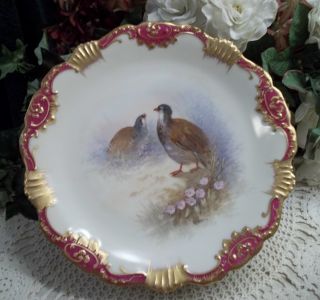 3 Hand Painted & Signed Limoges Wildlife Aviary Plate - Birds,  Florals,  Nature photo