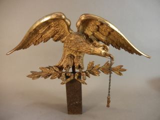 Fine Antique 19thc American Hand Carved Giltwood Eagle Spread Wings Wooden Bird photo