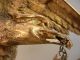 Fine Antique 19thc American Hand Carved Giltwood Eagle Spread Wings Wooden Bird Carved Figures photo 1