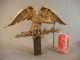 Fine Antique 19thc American Hand Carved Giltwood Eagle Spread Wings Wooden Bird Carved Figures photo 3