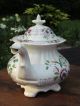 Flamboyant Dragon Head Coalport Teapot - Hand Painted - England - C.  1830 - 1840 Teapots & Tea Sets photo 3