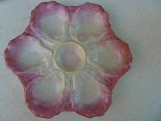 Old 6 Well Pink/white Porcelain Oyster Plate photo