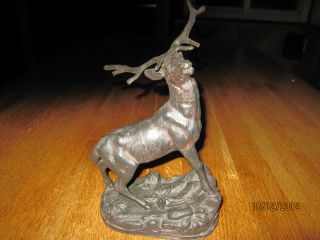 Hunters Delight,  Bronze Statue,  Elk,  Deer,  Busk,  Wild Life photo