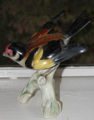 Cortendorf Bird On Branch German Figurine So Colorful photo