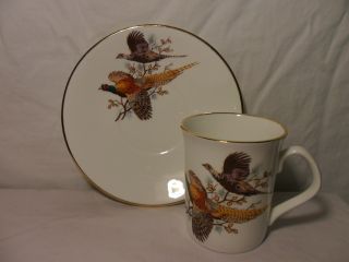 Vintage Pheasant Rosina Teacup And Saucer Set photo