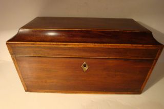 Antique Stunning English Double Tea Caddy Inlaid Wood 1820 ' S photo