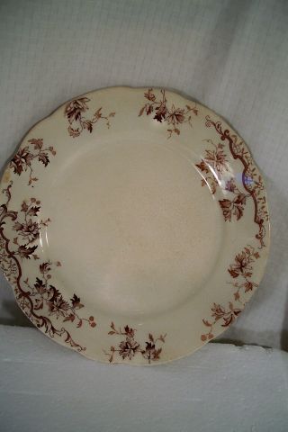 Antique English Plate Brown On Cream: Bouquet Design,  Mellor - Taylor & Co England photo