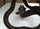 Antique Vtg Late 1800s Embossed Bronze Snake Cobra Serpent Candle Stick Holder Metalware photo 2