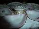 Rare Raised Shell Center Antique 19th C.  Oyster Plate Plates & Chargers photo 1