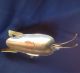 Brass Cricket Inlaid With Mother Of Pearl Trinket Soap Dish Mexico Adorable Metalware photo 2
